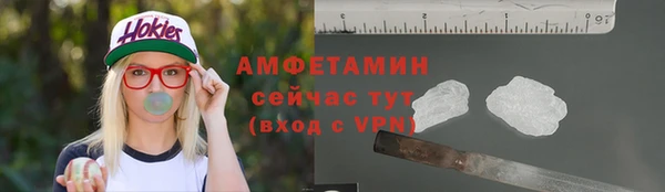 гидра Алексин