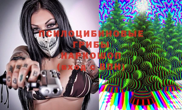 амф Алзамай