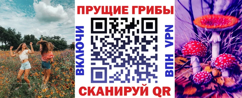 Псилоцибиновые грибы Cubensis  где можно купить   Анива 
